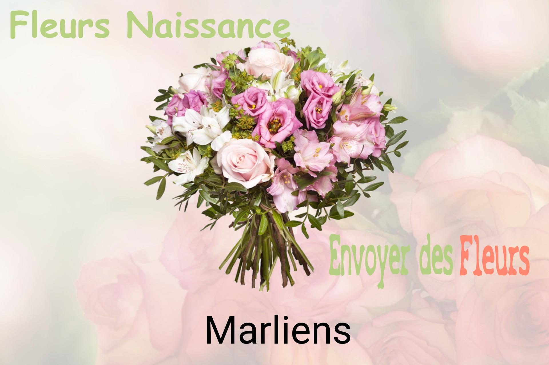 Bouquet de fleurs de naissance livré à Marliens